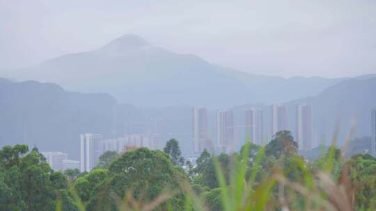 山林城市深圳坪山风光