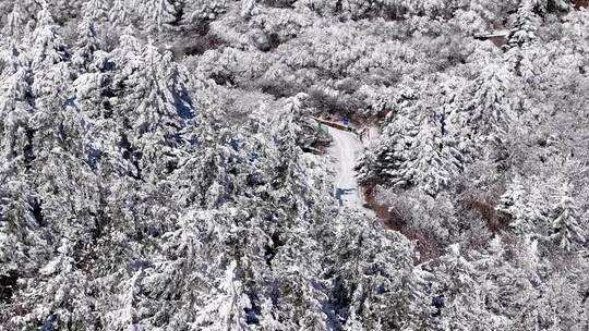 陕西秦岭分水岭雾凇冰挂雪景