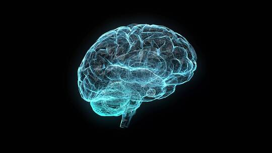 大脑脑科视频素材模板下载