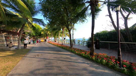 4K海南三亚大海沙滩海边落日阳光椰子树视频素材模板下载