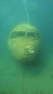 坠入海底的飞机残骸