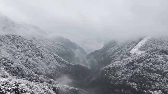 山间雪景雾霭弥漫景象 浙西大峡谷