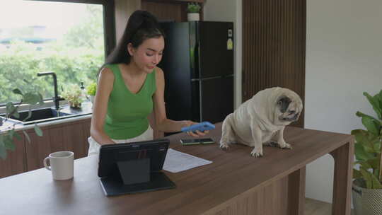 女性在家庭办公室兼顾工作和宠物护理