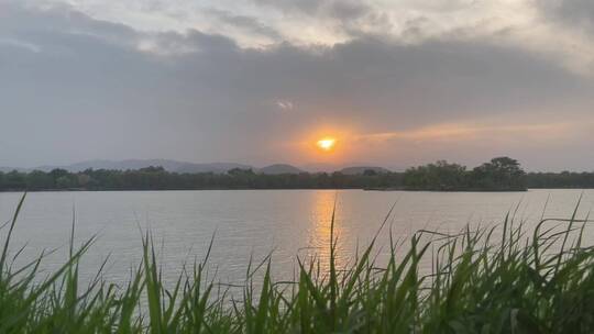 春天北京圆明园湖面的落日