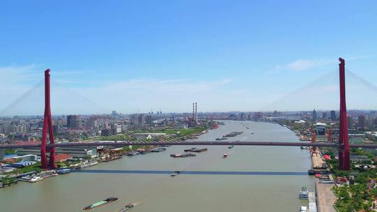 航拍上海浦东杨浦大桥滨江视频素材模板下载