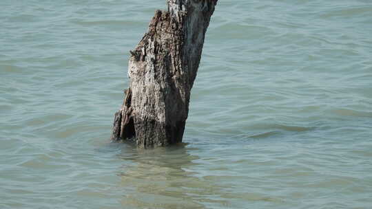 江河湖海洋水面海面波浪波纹海浪视频素材模板下载