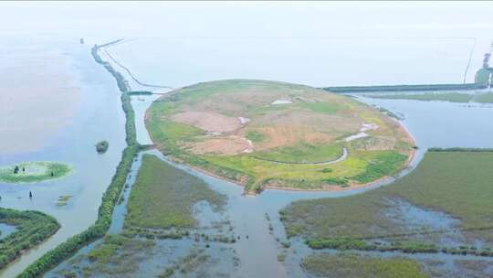 湖中岛屿 小岛 生态湿地 淮河 水利 水面