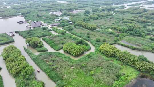 航拍德清下渚湖湿地公园