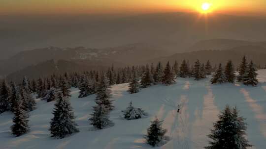 冬天，雪，森林，日落