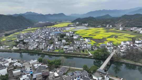 航拍油菜花田