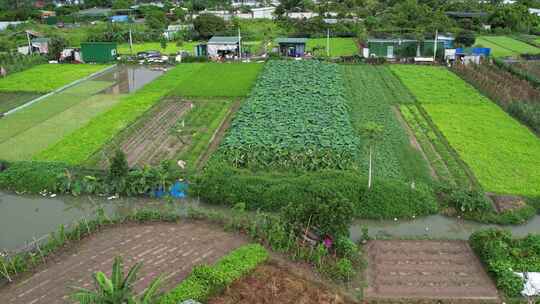 农业基地航拍