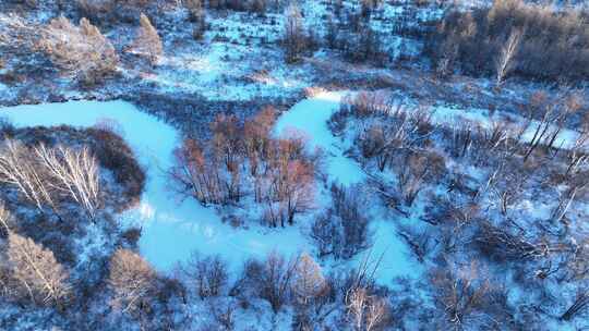 航拍冰雪覆盖的冻土森林湿地