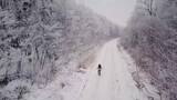 一名妇女在积雪的森林道路上奔跑高清在线视频素材下载