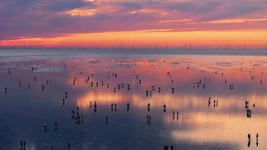 海滩海边日出朝霞唯美天空之镜火烧云