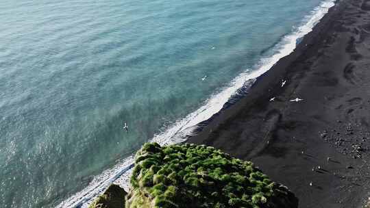 FPV无人机航拍大海森林海岛海鸟飞翔鲸鱼