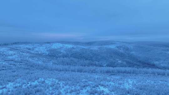 航拍晨曦蓝调林海雪原