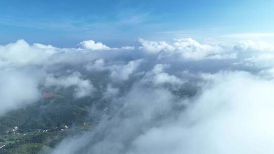 高山云海