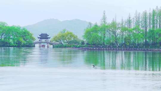 杭州西湖锦带桥春天风景