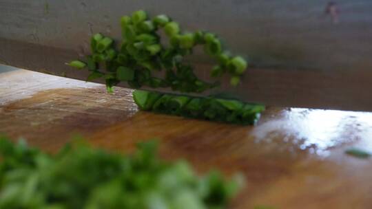 切韭菜蔬菜春菜包饺子