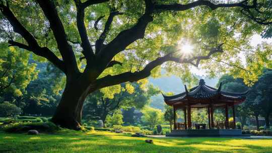 祖国大好河山 壮丽风景