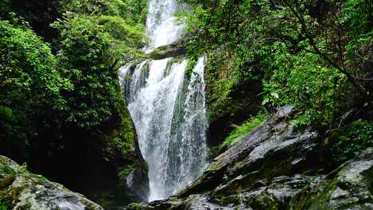 山泉水流水滴森林水流大自然酒水唯美广告