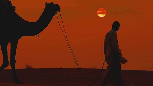 黄昏日落一人牵着骆驼沙漠行走特写