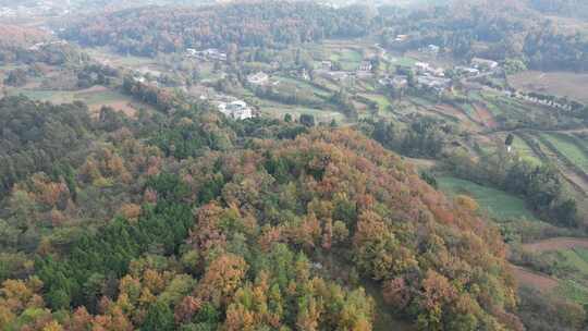 四川德阳罗江区附近山林秋色