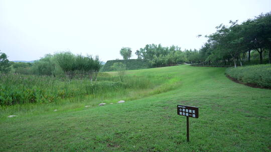 武汉光谷西苑公园风景