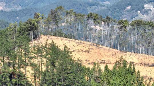 航拍水土流失荒漠化边坡面治理山地荒漠修复