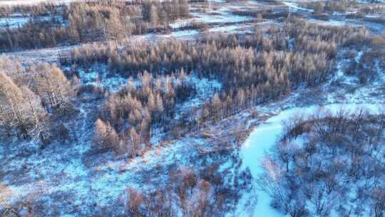 大兴安岭冻土森林湿地雪景视频素材模板下载
