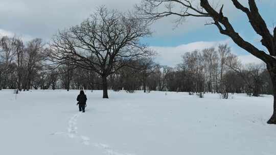 4K冬天冰天雪地人物在雪地艰难行走下雪