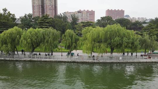 航拍山东济南著名景点大明湖视频素材模板下载