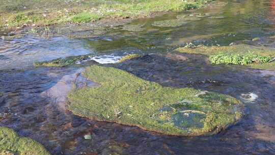 农村河流  水资源 保护水环境 环保