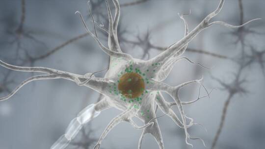 微观生物细胞神经系统神经元三维动画
