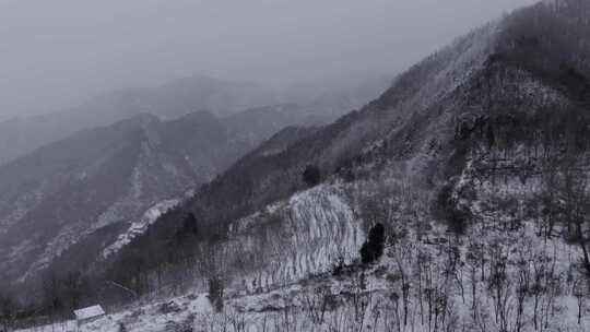 秦岭冬天下雪 白雪皑皑