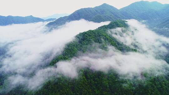 赣州三百山云海