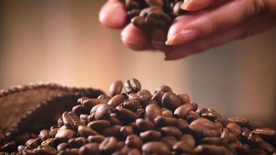 生咖啡豆挑选