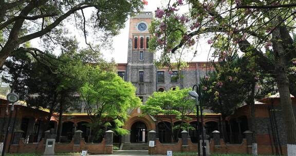 民国建筑晚樱 春天苏州大学校园樱花