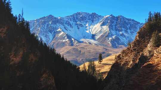 航拍祁连山森林雪山