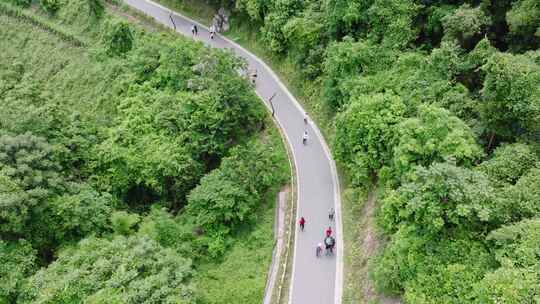 绿色户外徒步登山绿道