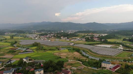 航拍农业种植农田大棚基地