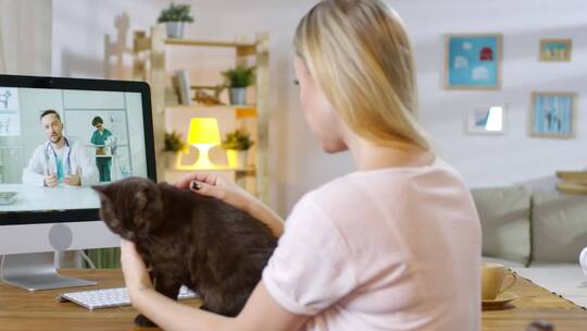 金发女子和她的黑猫在在线咨询中与兽医交谈视频素材模板下载