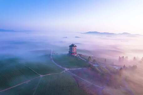 贵州遵义湄潭中国茶海航拍