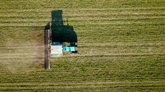 农业拖拉机在小麦农作物中耕作土壤