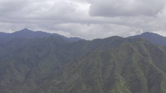 绿水青山