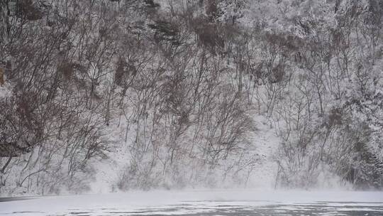 漫天飞雪大雪封山