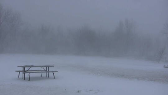 暴雪中的公园长椅