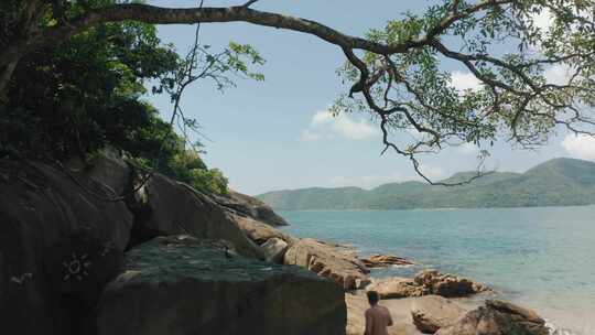 海岸，海，海滩，天线