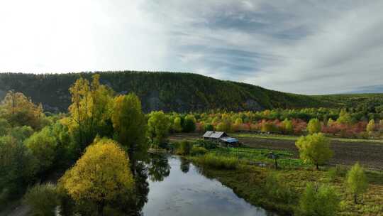 航拍秋季郊区小河与农家房舍