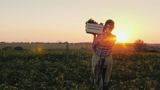 女人扛着新鲜的蔬菜走在田野里视频素材模板下载